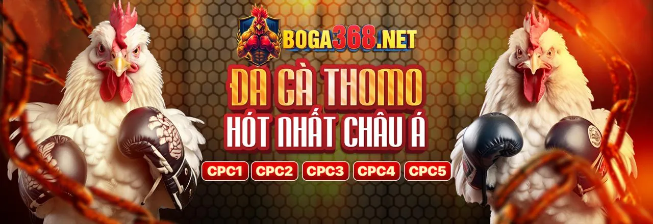 Đá gà trực tuyến kịch tính tại hii88 khuyến mãi